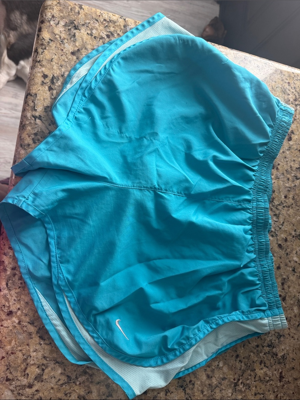 Nike Women's Turquoise Athletic Shorts